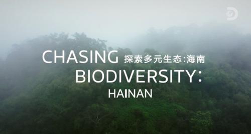 1682663395357496.jpg w700d1q75cms.jpg